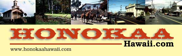 Welcome to HonokaaHawaii.com